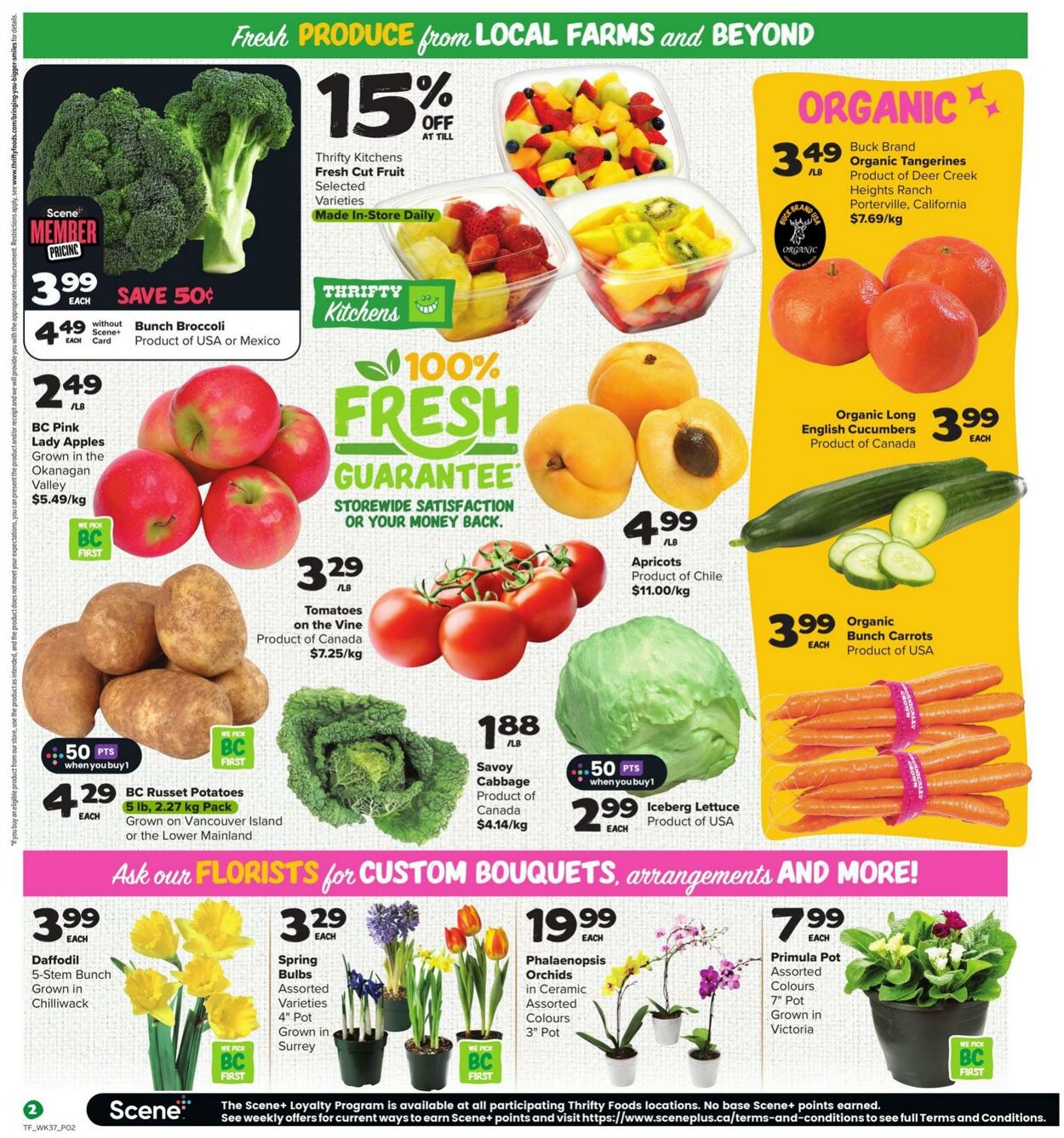 Flyer Thrifty Foods 09.01.2025 - 15.01.2025