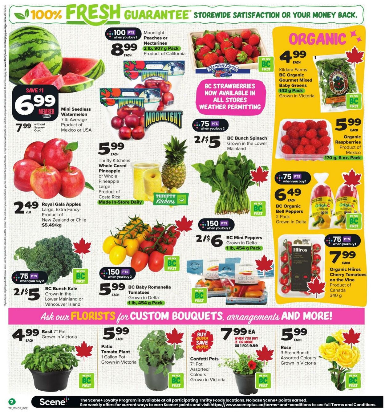 Flyer Thrifty Foods 29.05.2025 - 04.06.2025