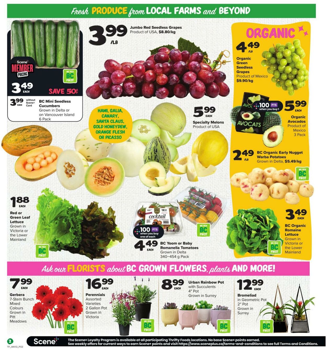 Flyer Thrifty Foods 04.07.2024 - 10.07.2024