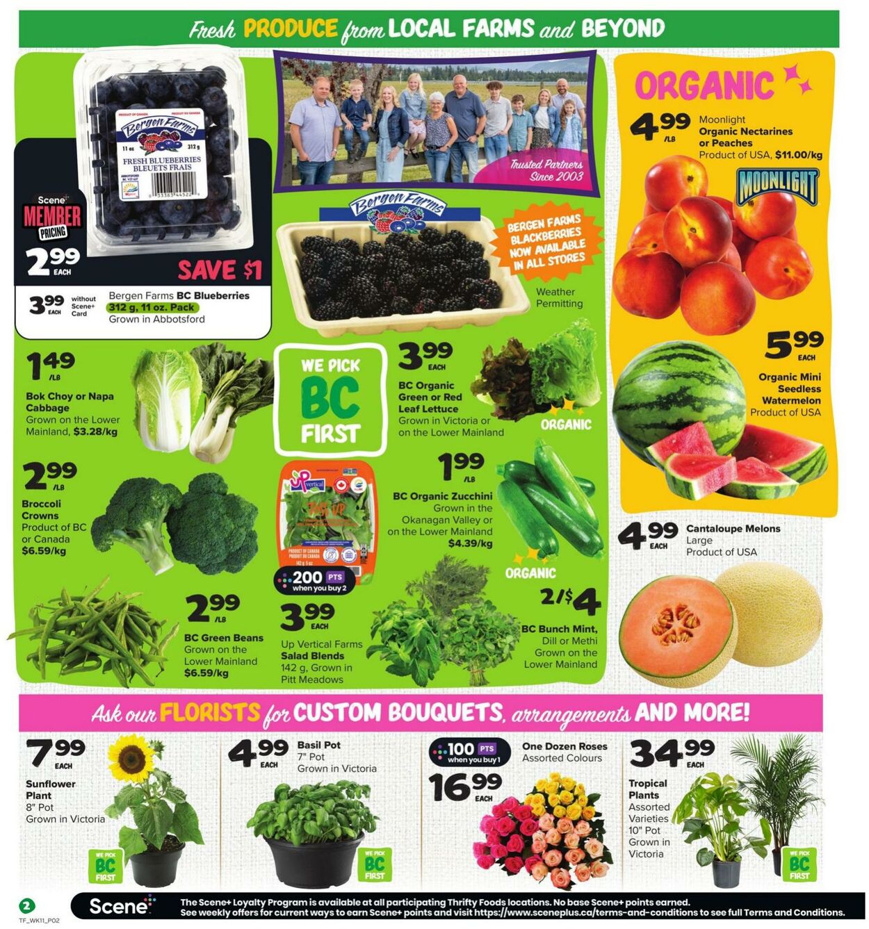 Flyer Thrifty Foods 11.07.2024 - 17.07.2024