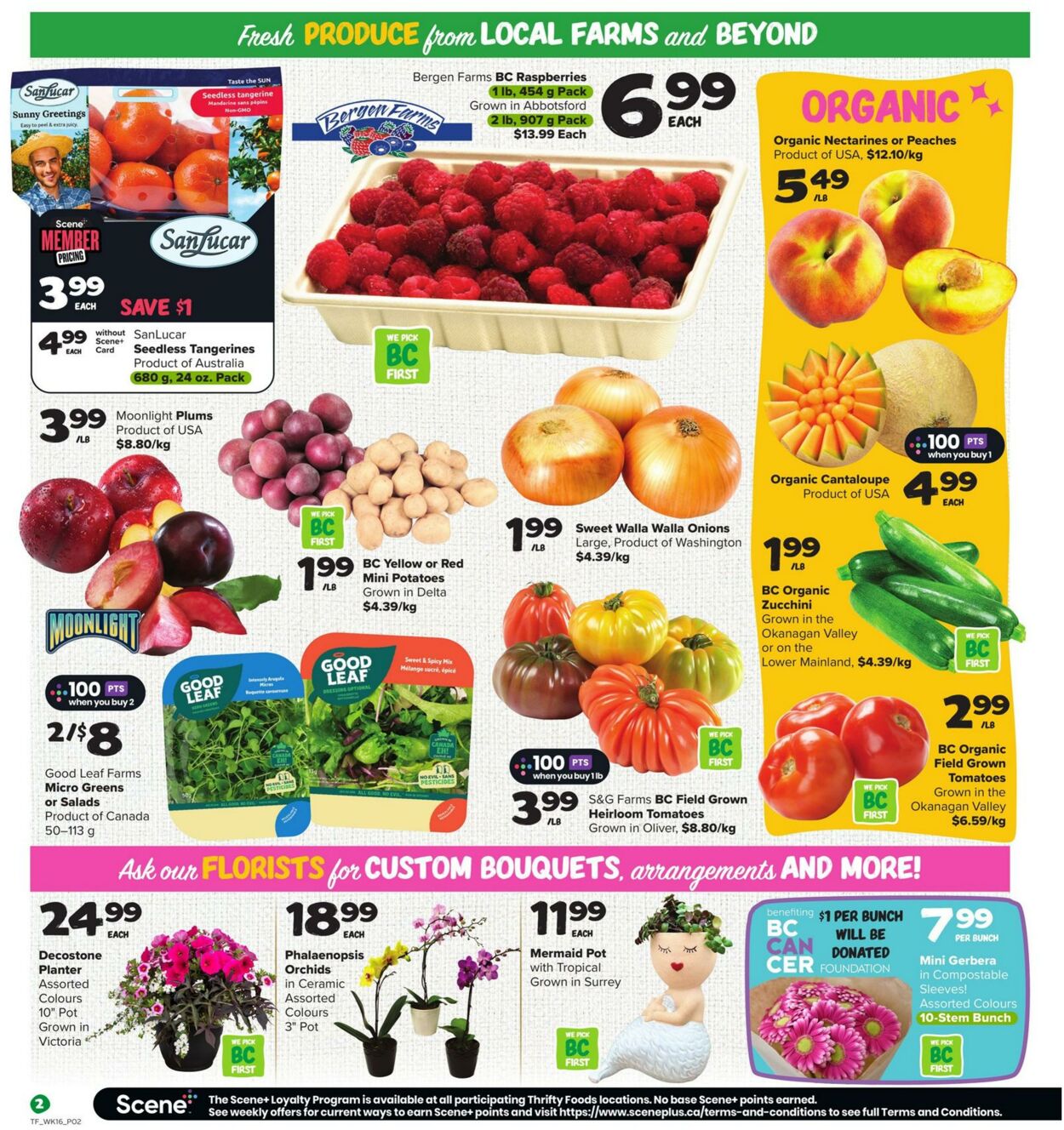 Flyer Thrifty Foods 15.08.2024 - 21.08.2024