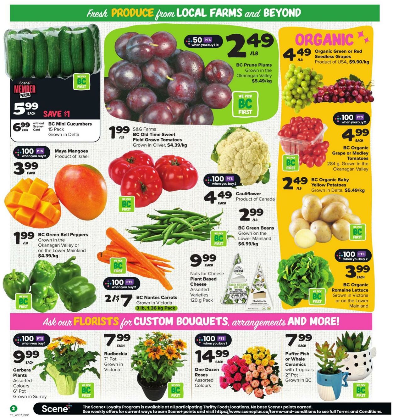 Flyer Thrifty Foods 22.08.2024 - 28.08.2024