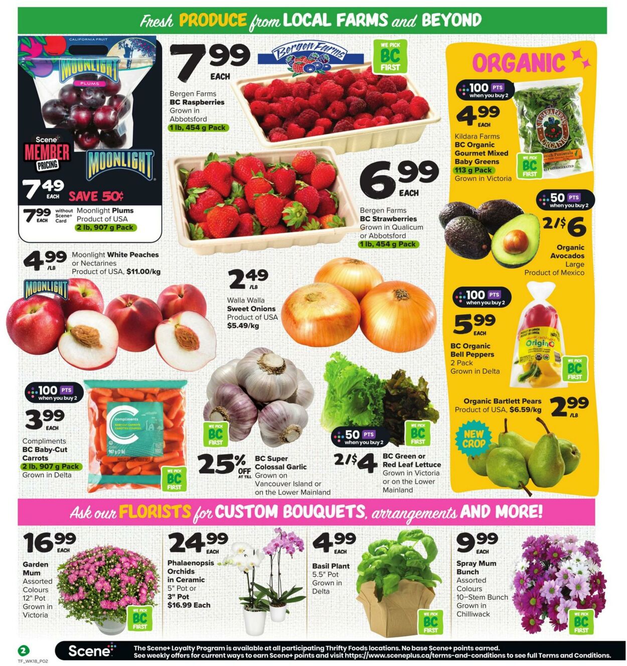 Flyer Thrifty Foods 29.08.2024 - 04.09.2024