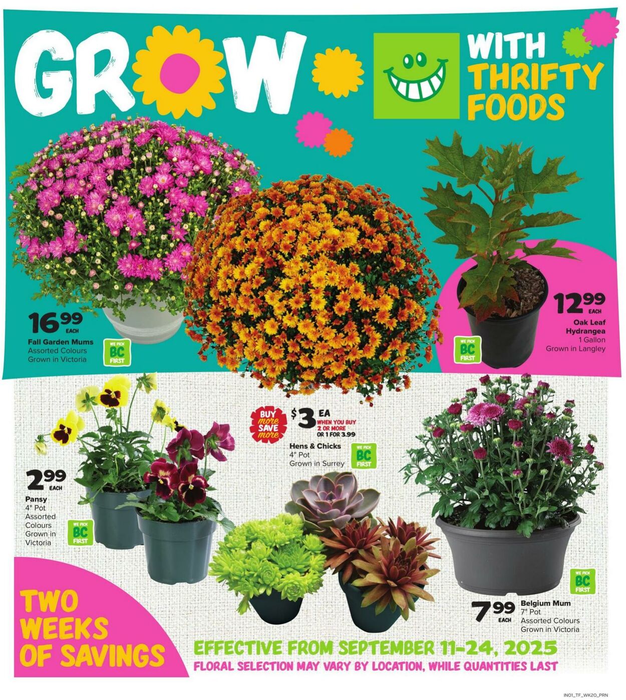 Flyer Thrifty Foods 11.09.2025 - 17.09.2025