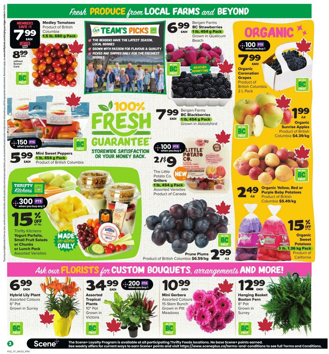 Flyer Thrifty Foods 11.09.2025 - 17.09.2025