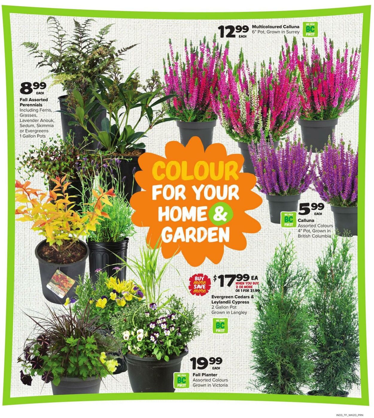 Flyer Thrifty Foods 11.09.2025 - 17.09.2025
