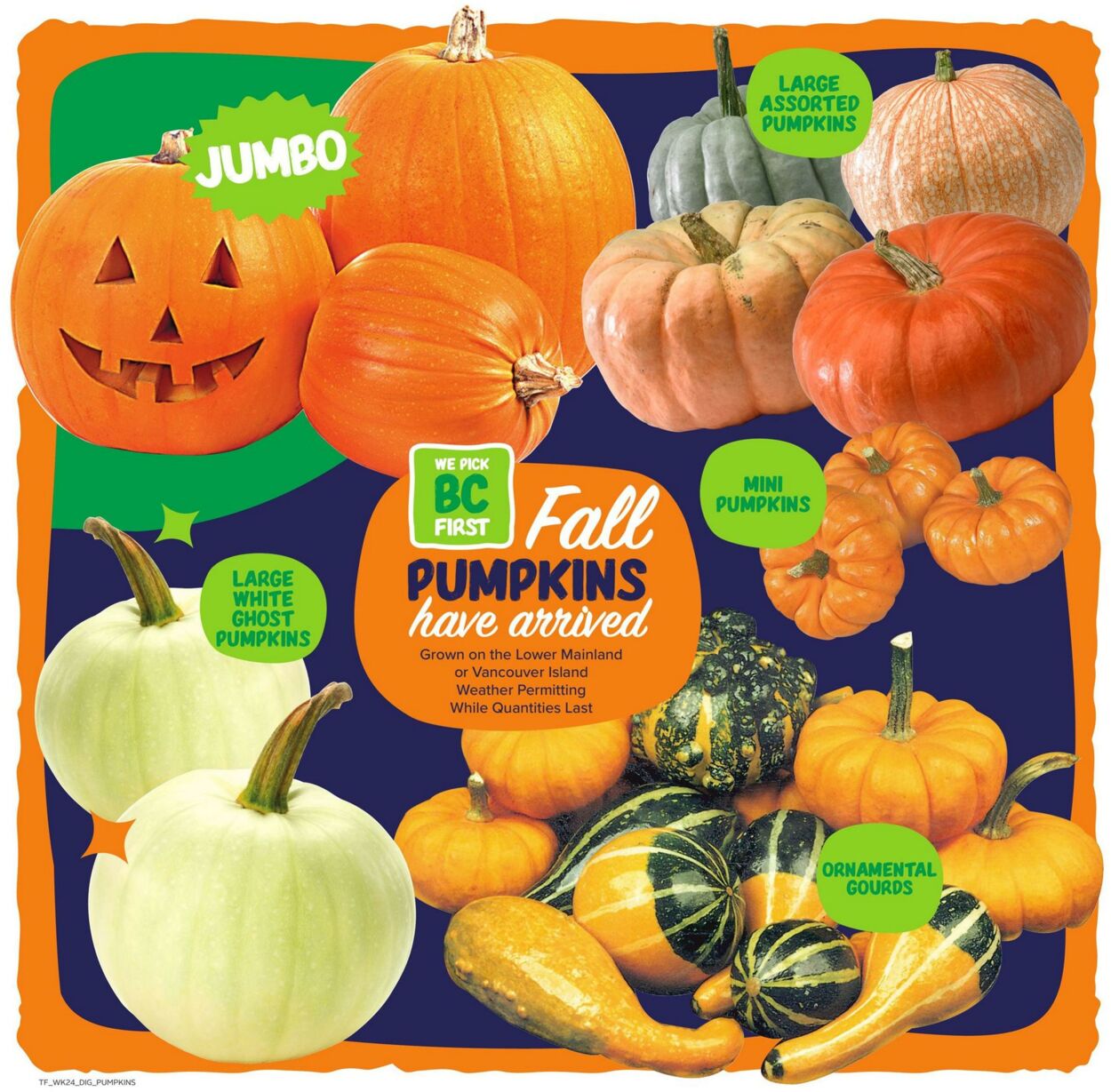 Flyer Thrifty Foods 10.10.2024 - 16.10.2024