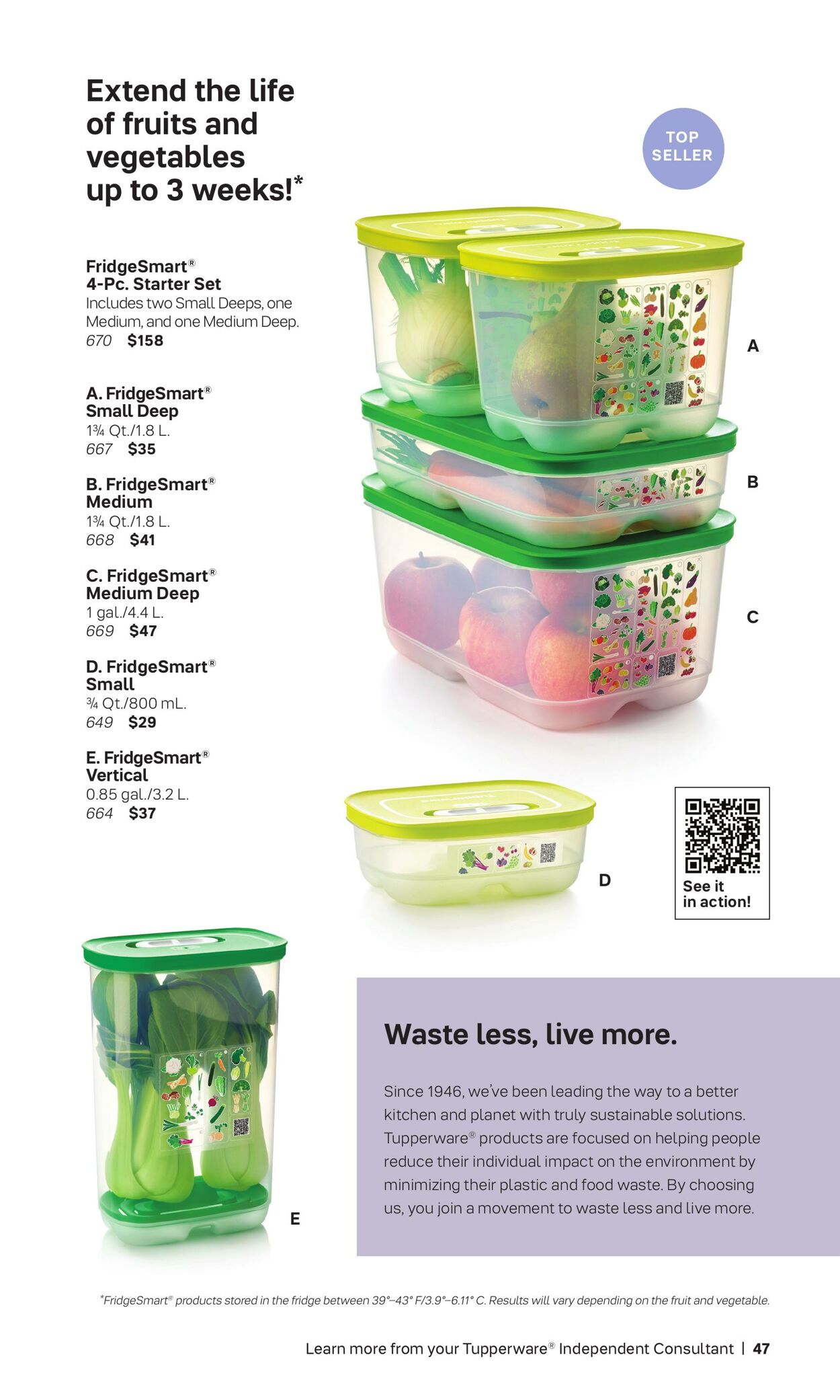 Flyer Tupperware 01.09.2023 - 31.12.2023