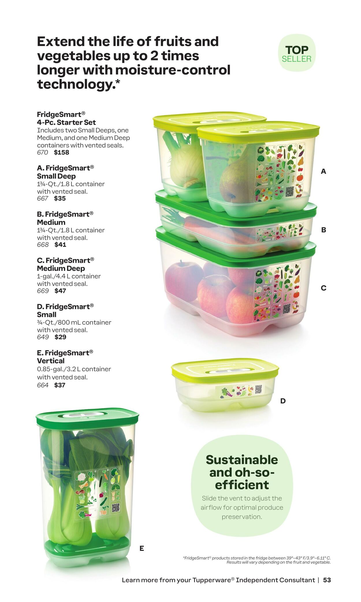 Flyer Tupperware 01.01.2024 - 31.05.2024