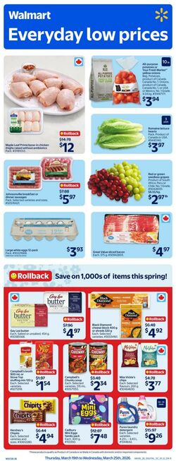 Flyer Walmart 19.03.2026 - 25.03.2026