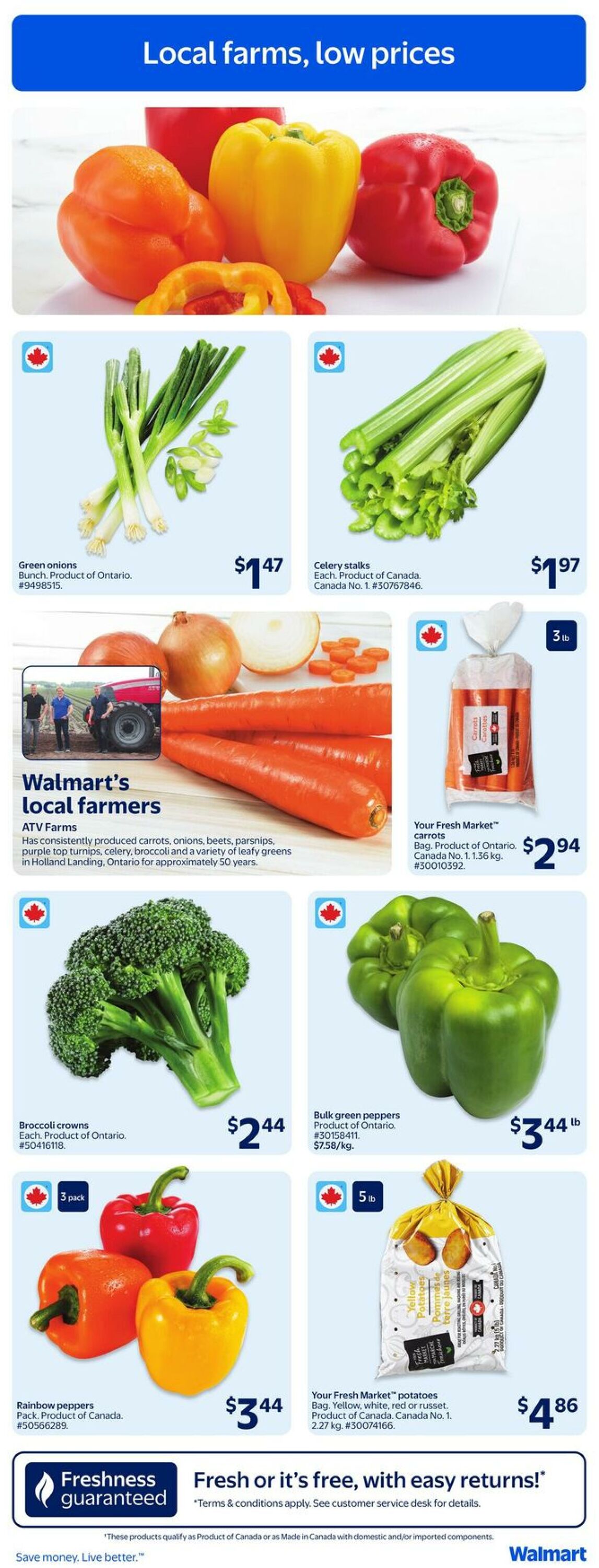 Flyer Walmart 28.08.2025 - 03.09.2025